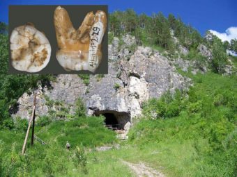 Фото Денисова пещера и артефакты