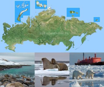 Удивительная Россия - от Калининграда до Чукотки