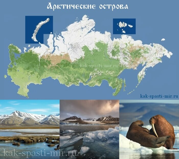 Удивительная Россия - Арктические острова фото