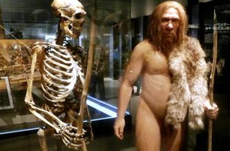 Фото музей неандертальцев